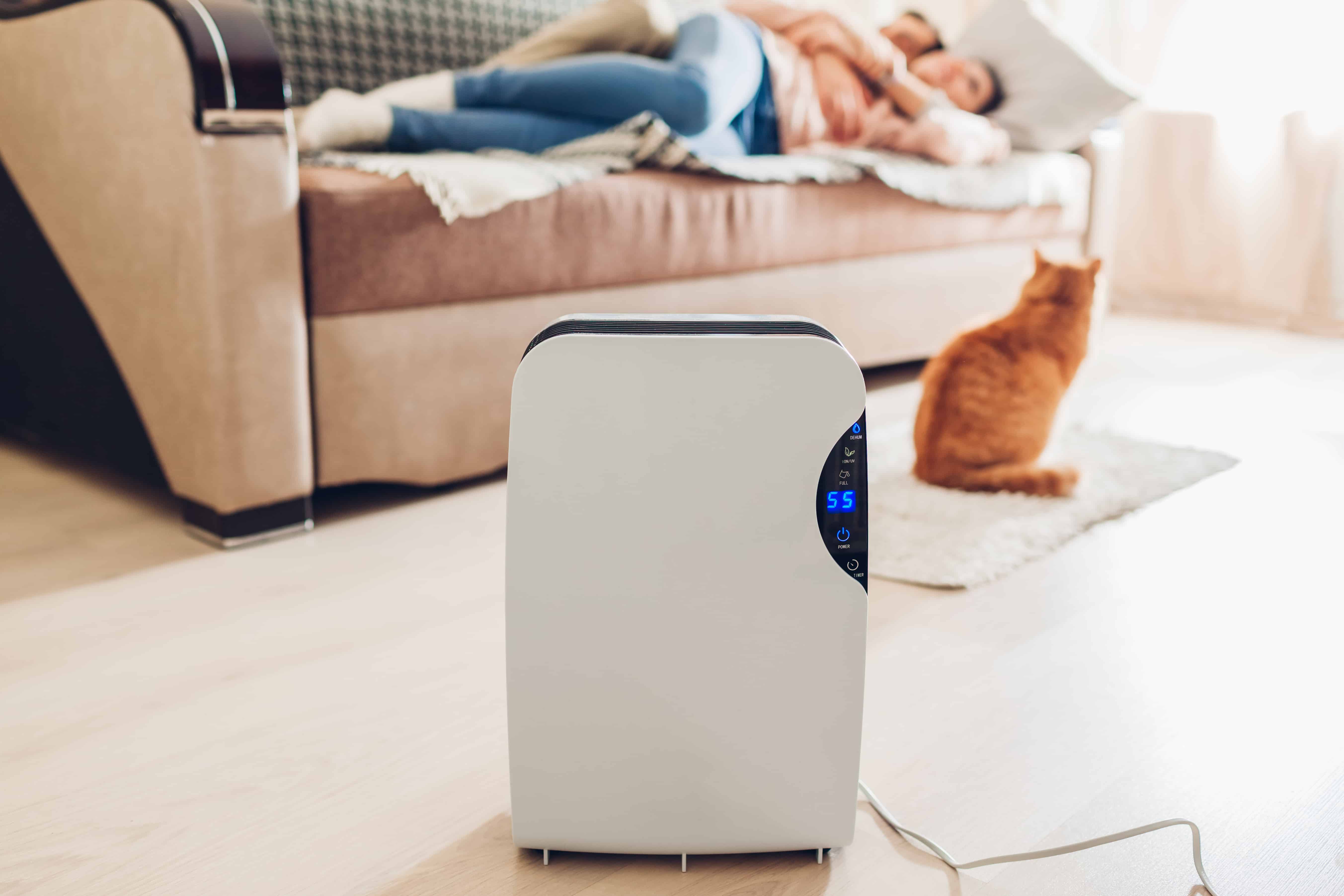 Are There Disadvantages of a Dehumidifier? (Answered)