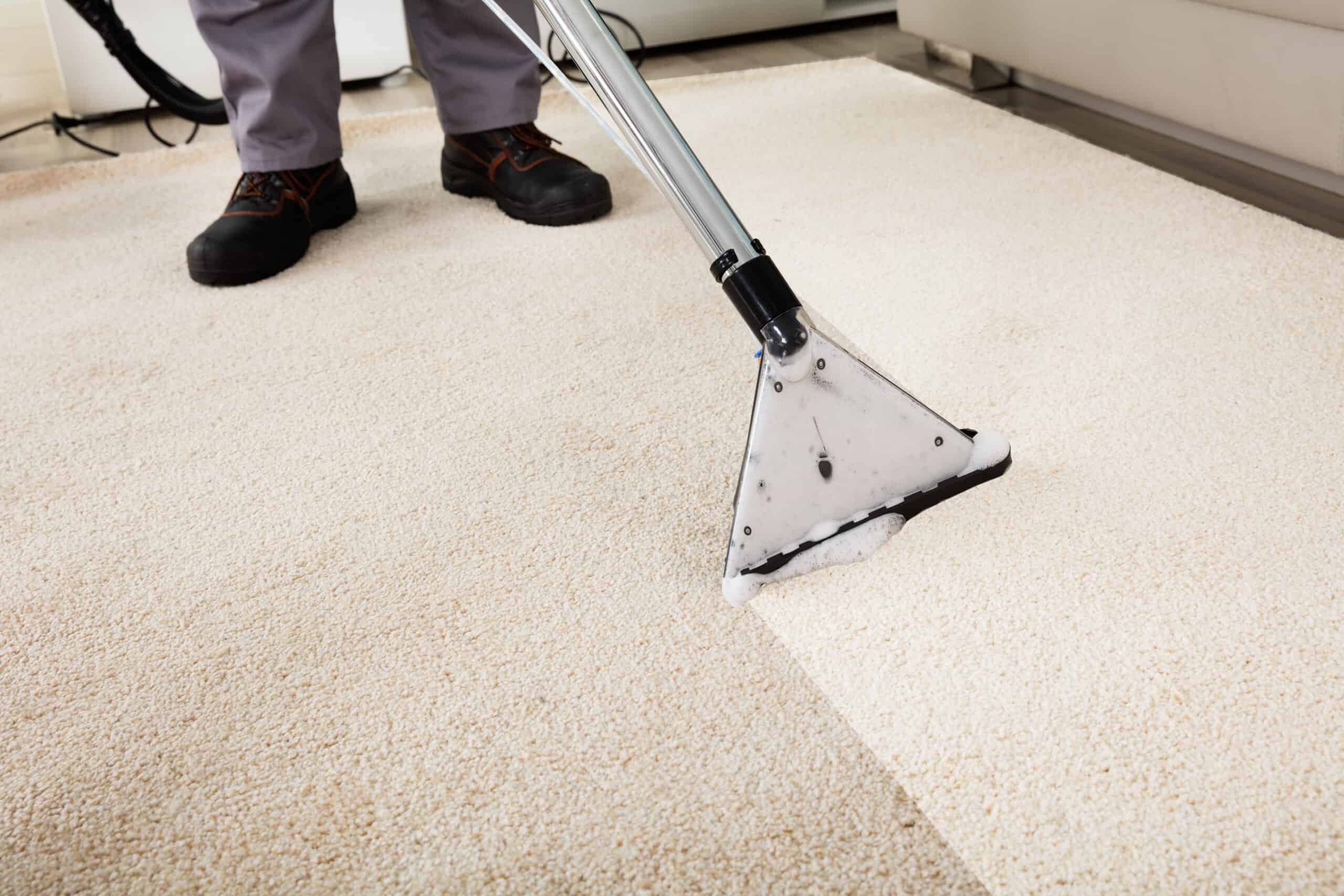 Will A Carpet Cleaner Remove Stains?