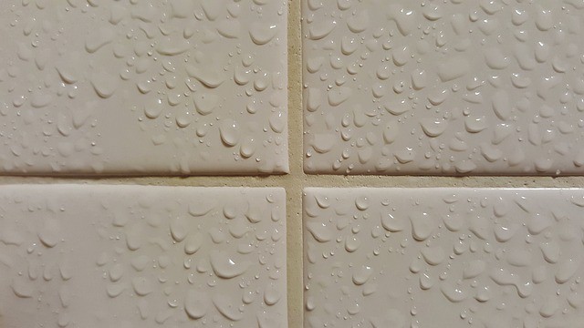 How Important Is To Replace Shower Grout?