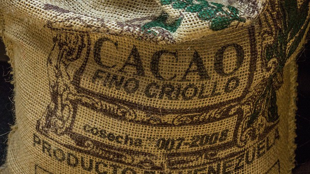 Pros and Cons of Using Cocoa Bean Shells in Your Garden